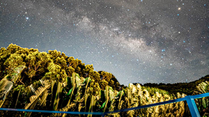 Another way to labelize!